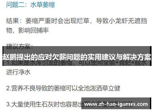赵鹏提出的应对欠薪问题的实用建议与解决方案 赵鹏提出的应对欠薪问题的实用建议与解决方案