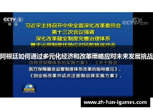 阿根廷如何通过多元化经济和改革策略应对未来发展挑战 阿根廷如何通过多元化经济和改革策略应对未来发展挑战